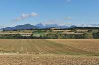 102 Entre Lalley & Treminis