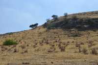 35 Pente escarpée au sud de Kursi