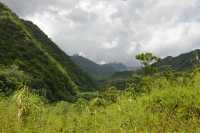 057 Haute vallée de la Papenoo