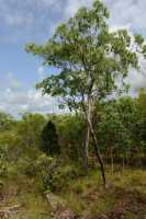 28 Lichtfield National Park