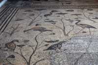 33 Mosaïque - Oiseaux aquatiques