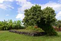 002 Marae Ta'Ata
