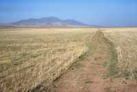 060 Derbé à Lystre