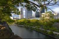 30 Château d'Osaka (tigre)