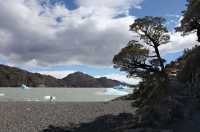 066 Lago Grey & icebergs