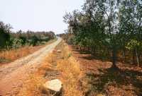 525 Nord des 3 Tavernes (Via Appia)