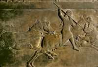648 Les chasses du roi Assurbanipal