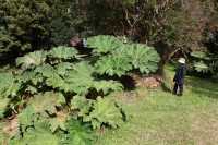 28 Cucao - Dora & Nalca