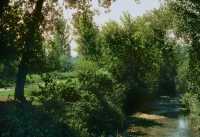 246 Philippes - Rivière