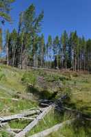 018 Prairie près de Mud Volcano