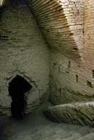 256 Tombe royale de la 1° dynastie d’Ur