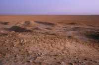 270 Eridu - Ziggurat