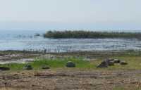 42 Le lac devant le village et l'ancien port de Magdala (Magdala Center