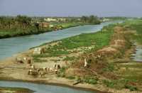 161 Bras de l'Euphrate