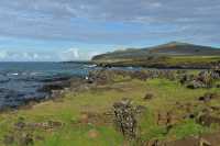 06 Hanga Ho Honu (La Pérouse)