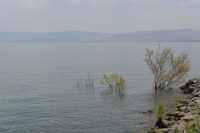 93 Le rivage du lac à Capharnaüm près de la maison de Pierre