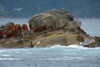 071 Rocher au bout de Doubtful Sound