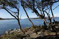 036 Ensenada Zaratiegui