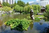47 Jardin japonais