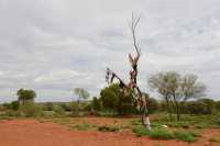 31 Art aborigène -  Mereenie Loop Road