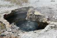 141 Scalloped Spring B