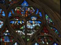 06 Les troupeaux de Job sont volés