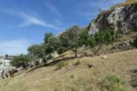 31 Hakeldama - Vallée de la Géhenne près du Monastère Saint-Onuphrius