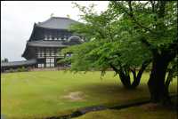 042 Todai-ji (Daibutsu-den)