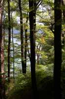 099 Queen Charlotte Sound - Anakiwa B