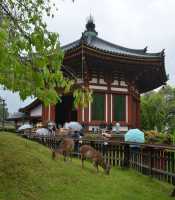 008 Kofuku-ji (Nan'en-do - 1415)