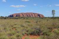 03 Uluru