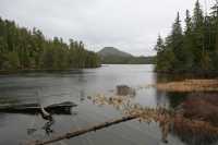 22 Vers Port Alice 2