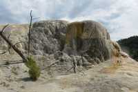 60 Orange Spring Mound