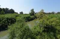 11 Le Jourdain au nord du lac