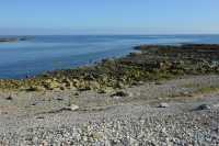 15  Germain des Vaux