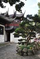 011 Jardin Yu (16°s)