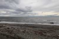 073 Seno Otway & pingouins