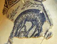 22 Mosaïque byzantine - Emmaüs - Amwas-Nicopolis