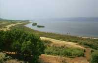 325 Près d'Apollonie