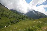 24 - Col du Lautaret - Les écrins