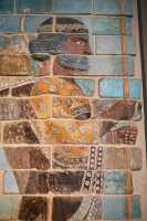 170 - Archer du palais de Darius I à Suse ± 510 *