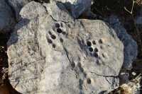 09 Nazareth - Pierre à polir