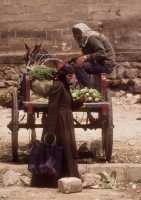 266 Damas marché rempart sud ouest