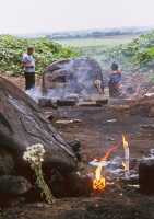 390 Finca El Baul tête colossale dans la forêt rites chamaniques
