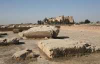 031 Suse - Adapana *