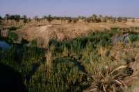 332 Ziggurat E-Téménanki