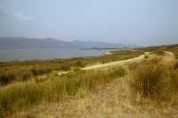 324 Près d'Apollonie