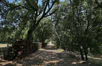 13 - Ganagobie - Allée