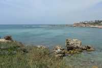 135 le port vu de la citadelle des Croisés