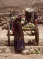 265 Damas marché rempart sud ouest